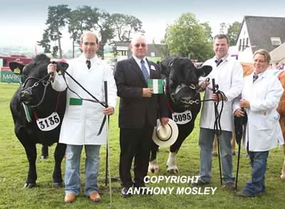 Presentation to Fitzhugh Reserve Champion Pair with Judge