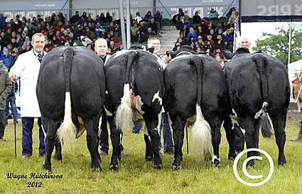 British Blue Team of Four