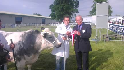 Young Handlers’ Competition