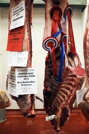 The Overall Champion Carcase – A British Blue Cross – weighing 354.1kg and grading E2  from SS Parker & Son, Truro 