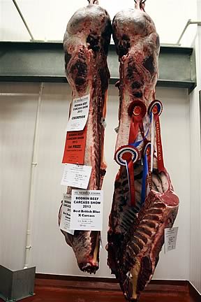 The Overall Champion Carcase – A British Blue Cross – weighing 354.1kg and grading E2  from SS Parker & Son, Truro 