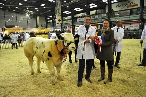 Junior bull champion K Watret's Solway View Jackpot with judge Julie Rook and sponsor representative Paul Dobson of ForFarmers