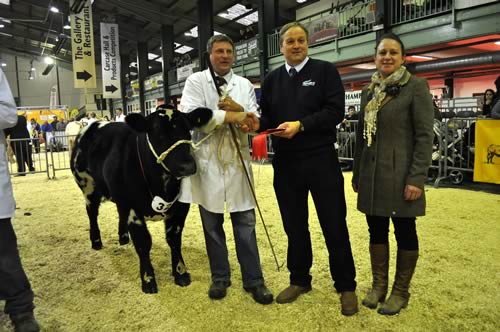 Junior heifer calf first prize being presented by Paul Dobson of ForFarmers with Julie Rooks to Chalford Manor Jazzy