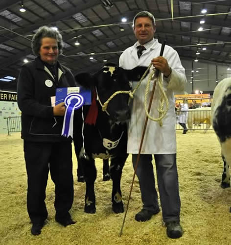 Mrs Betty Bowyer presenting the prize for junior heifer calf champion D Plested's Chalford Manor Jazzy