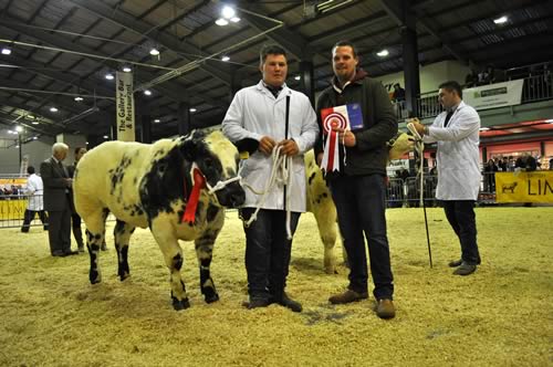 The prize from T & A Trailers for Overall British Blue Champion calf going to K Watret's Solway View Irresistible