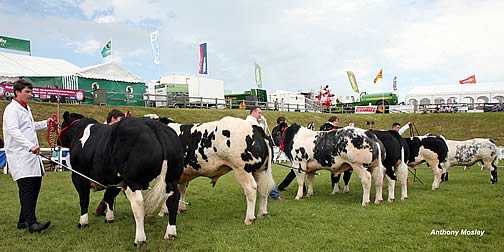 Cornwall Show