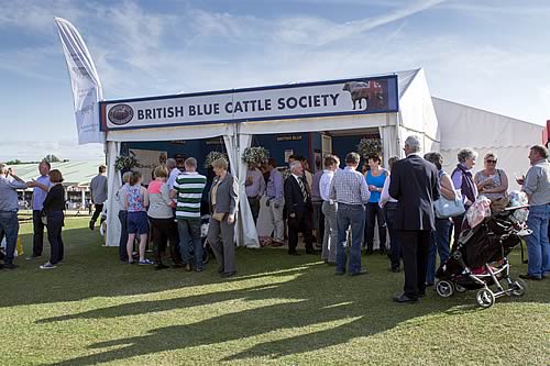 British Blue Cattle Society Stand