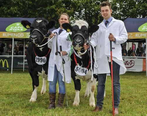 Royal Welsh Young Cattle Handler – Chloe Dunn and Michael Phillips – British Blue representatives