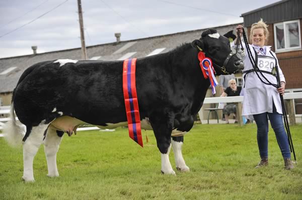 Supreme Champion: Tweeddale Hawkeye