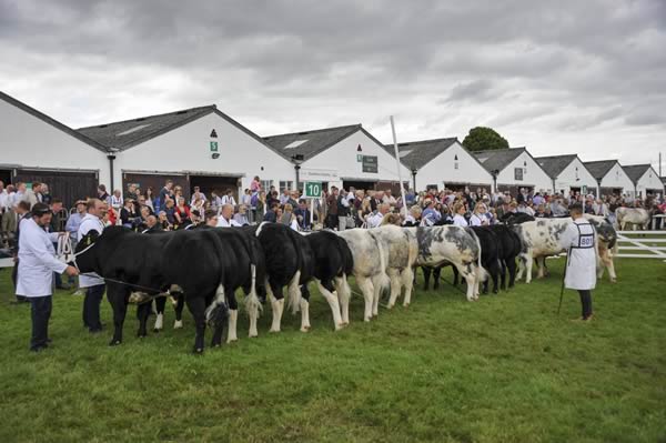 Great Yorkshire Show