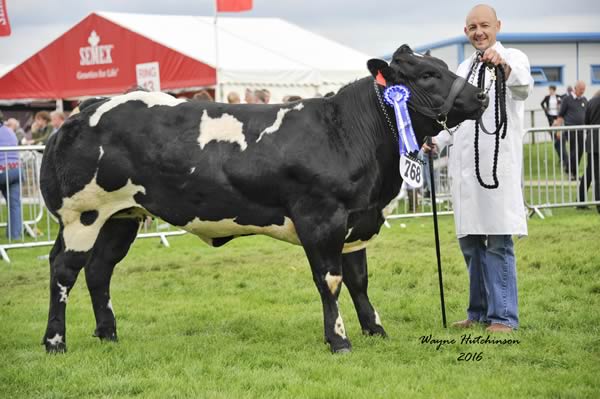 Barholm Kacei - Reserve Junior Champion