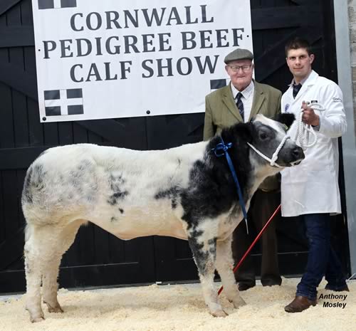 Stoneleigh Moonlight with Ted Haste and handler, Barnaby Bridgman