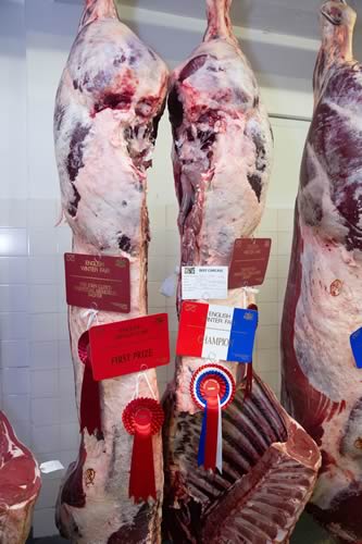 English Winter Fair Supreme Carcass Champion a British Blue x