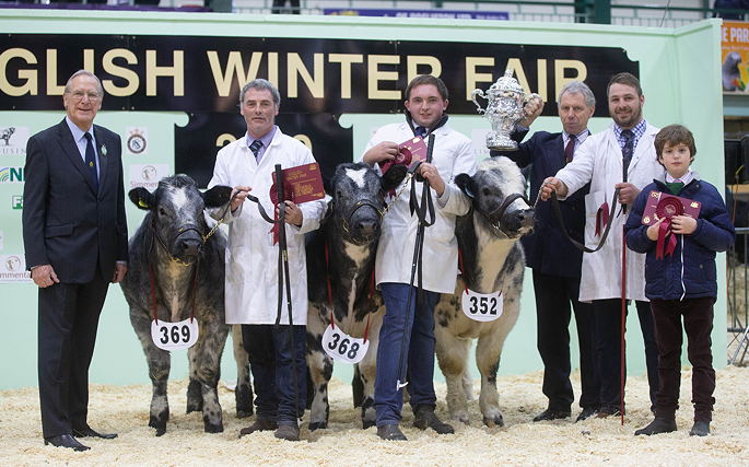 British Blue Group of three won the Duke of Norfolk Competition