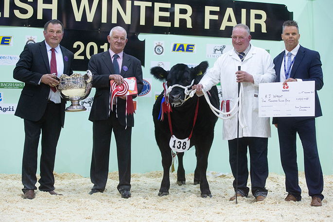 Overall Champion Crossbred