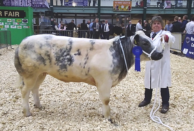 Beckside Tess, M Brown & D Haigh