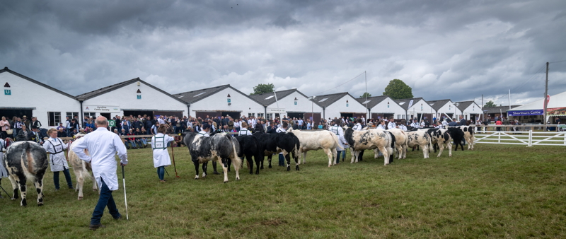 Great Yorkshire Show