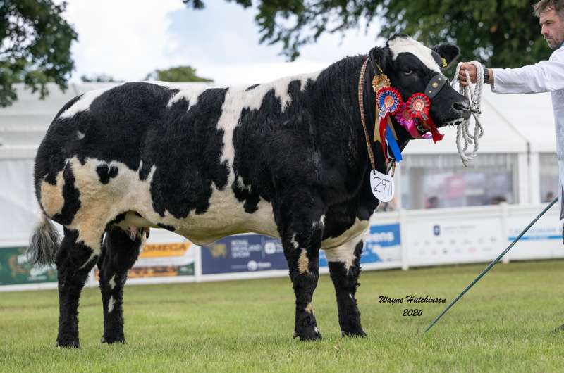 Solway View UPeach - Supreme Champion