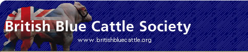British Blue Cattle Society