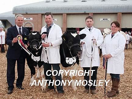 Presentation with Judge Richard Davies to Interbreed Continental Pairs Champions A & P Phillips & Sons’ bull Drift Hero and heifer Drift Holly shown by Jeff Dunn.