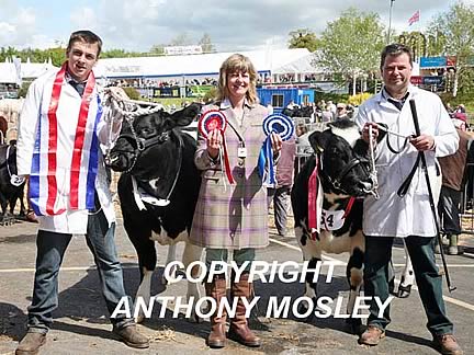 Presentation with Judge (Michelle Wilde) to Breed Champion and Reserve.  Champion was A & P Phillips & Sons’ heifer Drift Holly and Reserve was JN & LP Dunn’s heifer Highridge Blues Harmony.  