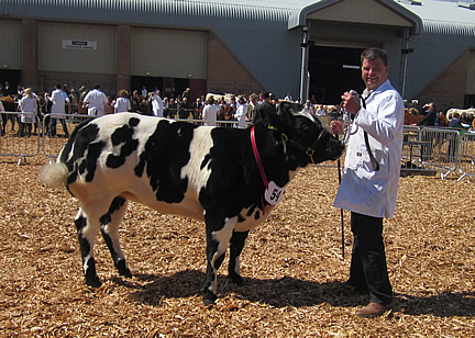 Reserve Female and Reserve Overall- Highridge Blues Harmony