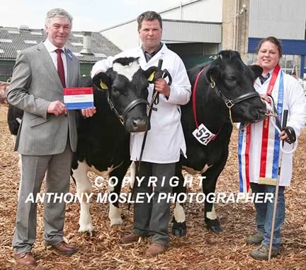 Interbreed Beef Pairs Champions