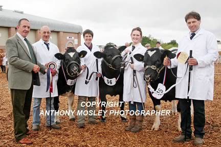 Presentation by the Judge, Danny Wyllie, to the Interbreed Champion Group of Three with a team of homebred animals from the Jenkinson family.
