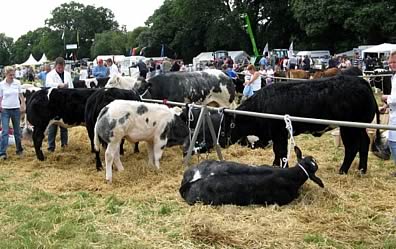 Lampeter Show