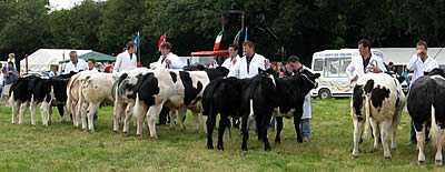 Lampeter Show