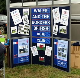 Lampeter Show